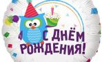 Воздушный шар (18''/46 см) Круг, С Днем рождения (Сова), на русском языке